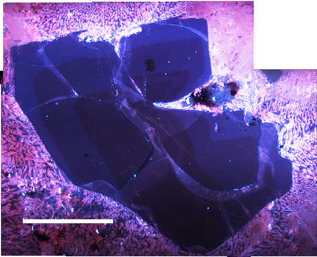 Relion Indistries complex zoned quartz from ignimbrite